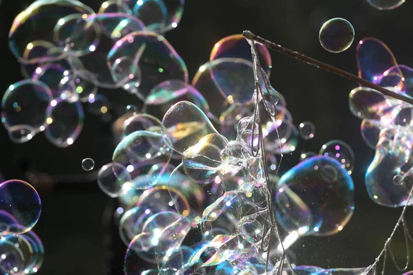 Мыльные Пузыри Природе Фоновое Размытие — стоковое фото