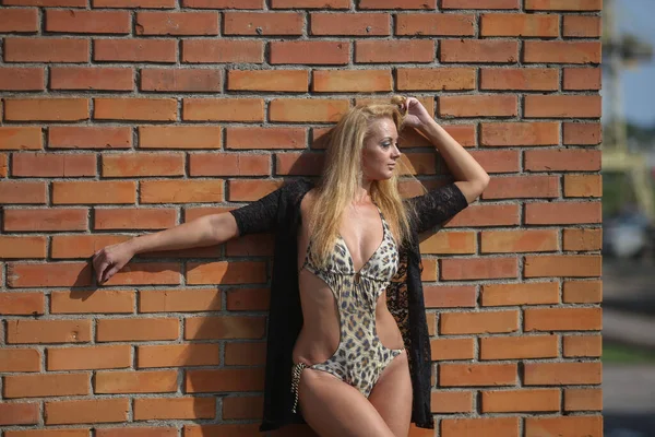Young Elegant Woman Posing Front Brick Wall Backround — Stock Photo, Image