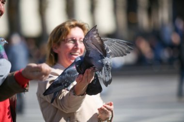 Milan Meydanı, İtalya 'daki güvercinleri beslemek, 04 09 2017