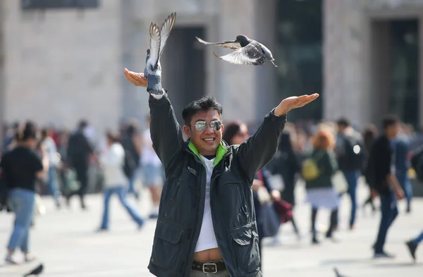 ミラノ広場 イタリア 2017年09月のハトへの餌やり — ストック写真