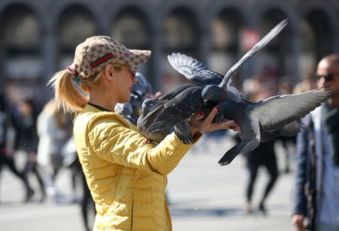 Milan Meydanı, İtalya 'daki güvercinleri beslemek, 04 09 2017