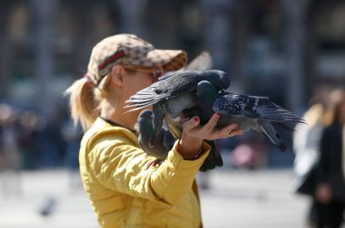 Milan Meydanı, İtalya 'daki güvercinleri beslemek, 04 09 2017