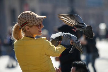 Milan Meydanı, İtalya 'daki güvercinleri beslemek, 04 09 2017