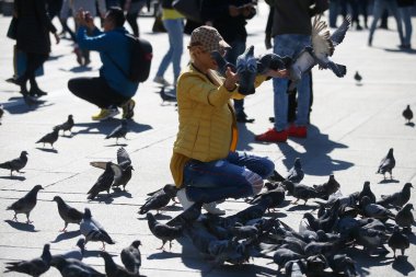 Milan Meydanı, İtalya 'daki güvercinleri beslemek, 04 09 2017