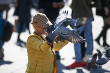 Milan Meydanı, İtalya 'daki güvercinleri beslemek, 04 09 2017