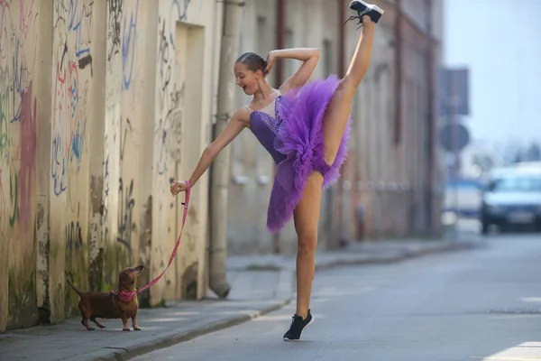 Ballerina Girl Ballet Skirt Poses Dachshund Puppy — Stock Photo, Image