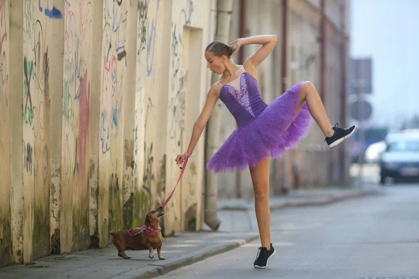 Balerină Fată Într Fustă Balet Pozează Cățeluș Dachshund — Fotografie, imagine de stoc