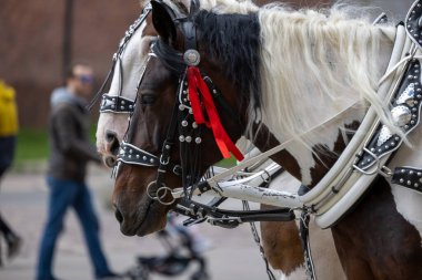 Eski Krakow Kasabası 'nda eski bir sokak lambası