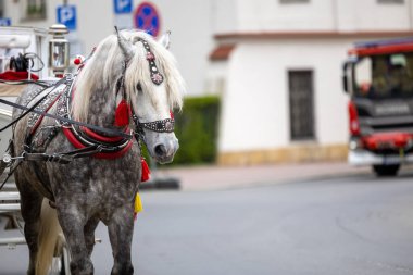 Eski Krakow Kasabası 'nda eski bir sokak lambası