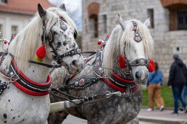 Eski Krakow Kasabası 'nda eski bir sokak lambası