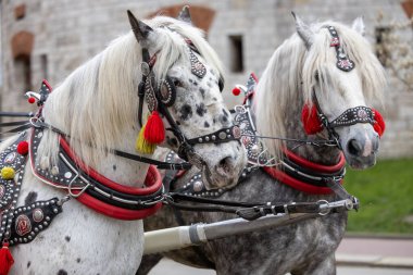 Eski Krakow Kasabası 'nda eski bir sokak lambası
