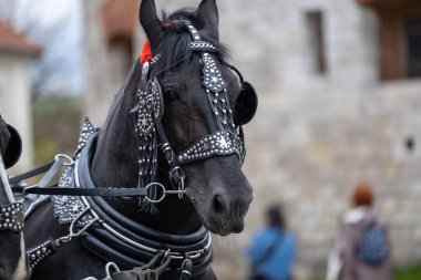 Eski Krakow Kasabası 'nda eski bir sokak lambası