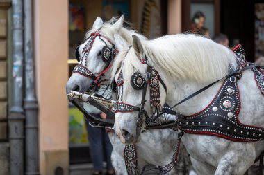 Eski Krakow Kasabası 'nda eski bir sokak lambası