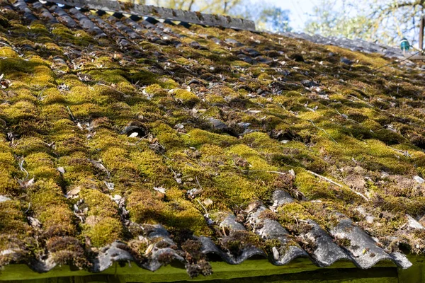 废弃房屋的苔藓般的屋顶 — 图库照片