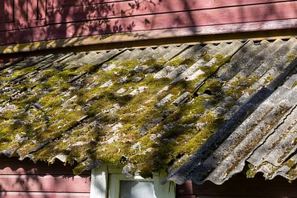 放棄された家の苔むした屋根 — ストック写真