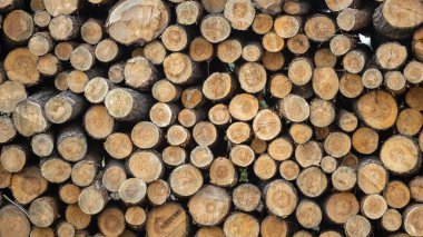 Mavi arka planda kışa hazır odun yığını.