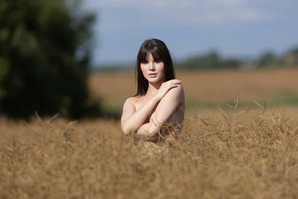 秋のフィールドの風景で晴れた日の若い美しい女性 — ストック写真