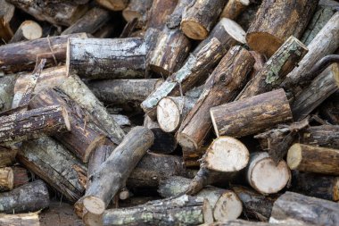 Yakacak odun ve odun yığını. Kış için odun stoğu. Doğal ahşap sırtı.