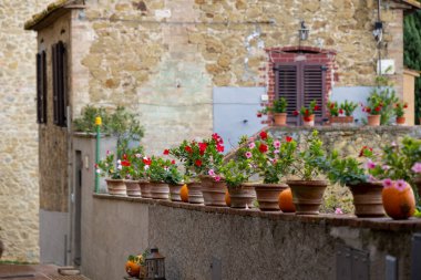 Cadılar Bayramı balkabakları, dekorasyon, tatil konsepti. İtalyan kasabası Solomeo 'da