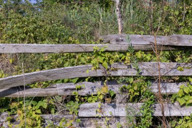 Doğal Alanda Ahşap Çit