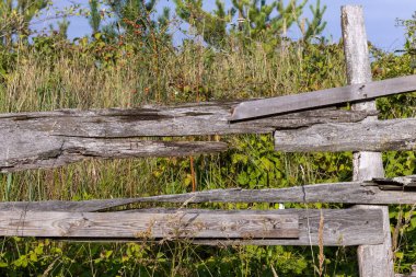 Doğal Alanda Ahşap Çit