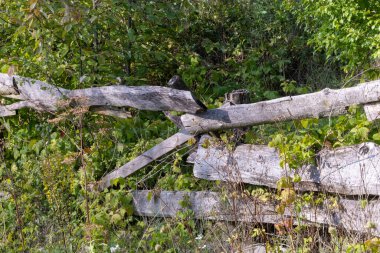 Doğal Alanda Ahşap Çit