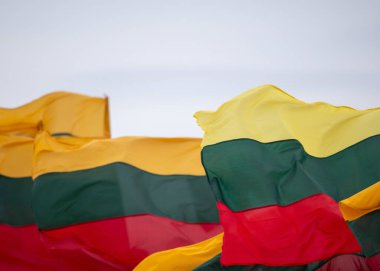 Litvanya 'nın ulusal bayrağı rüzgarda dalgalanıyor