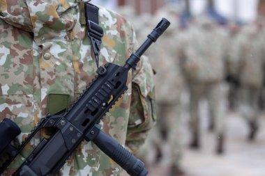 Askeri geçit sırasında Litvanya ordusuyla silahlanmış bir asker.