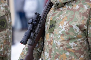 Askeri geçit sırasında Litvanya ordusuyla silahlanmış bir asker.