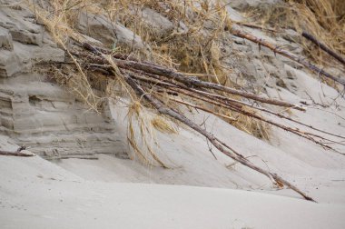 Kuzey Avrupa 'da kum tepeleri, Baltık Denizi kıyısında, Nida beac