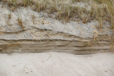 Kuzey Avrupa 'da kum tepeleri, Baltık Denizi kıyısında, Nida beac