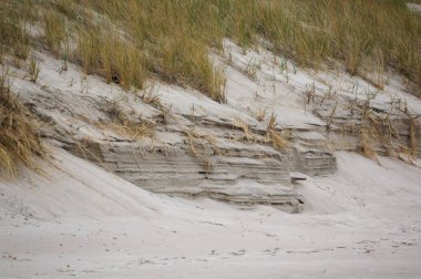 Kuzey Avrupa 'da kum tepeleri, Baltık Denizi kıyısında, Nida beac