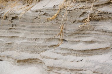 Kuzey Avrupa 'da kum tepeleri, Baltık Denizi kıyısında, Nida beac