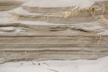 Kuzey Avrupa 'da kum tepeleri, Baltık Denizi kıyısında, Nida beac