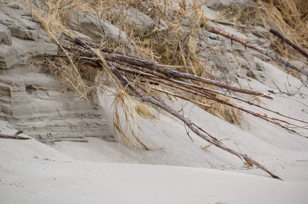 Kuzey Avrupa 'da kum tepeleri, Baltık Denizi kıyısında, Nida beac