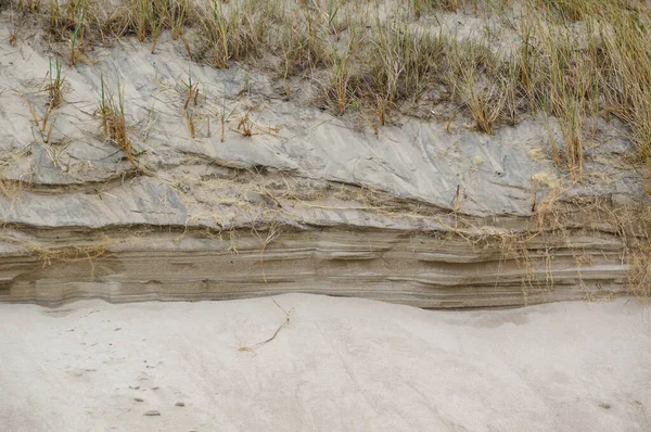 Kuzey Avrupa 'da kum tepeleri, Baltık Denizi kıyısında, Nida beac