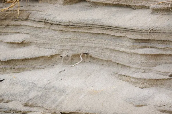 Kuzey Avrupa 'da kum tepeleri, Baltık Denizi kıyısında, Nida beac