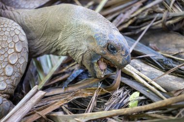 Geometrik çizgileri olan farklı su dokusu