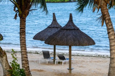 Sun umbrella and beach beds on tropical coastline, in Mauritius clipart