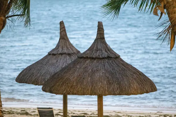 Mauritius 'taki tropikal sahil şeridinde güneş şemsiyesi ve plaj yatakları.