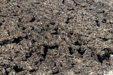 Kuru toprak düz doku arkaplanı