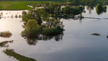 Nehir bankadan taştı. Nevezis, Kedainiai Bölgesi