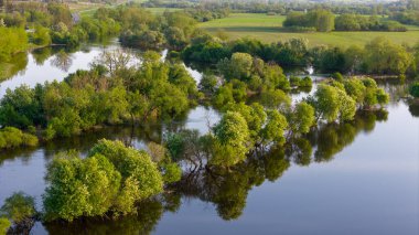 Nehir bankadan taştı. Nevezis, Kedainiai Bölgesi