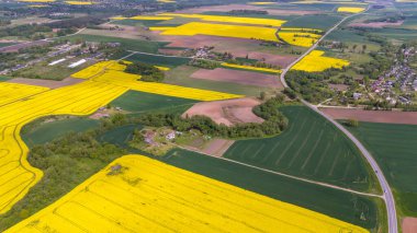 Litvanya 'nın Kdainiai İlçesindeki Sarı Tecavüz Tohumu Tarlalarının Üzerindeki Güneşli Gün