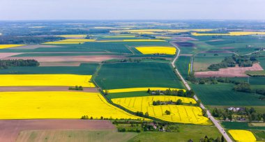 Litvanya 'nın Kdainiai İlçesindeki Sarı Tecavüz Tohumu Tarlalarının Üzerindeki Güneşli Gün
