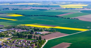 Litvanya 'nın Kdainiai İlçesindeki Sarı Tecavüz Tohumu Tarlalarının Üzerindeki Güneşli Gün