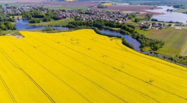 Litvanya 'nın Kdainiai İlçesindeki Sarı Tecavüz Tohumu Tarlalarının Üzerindeki Güneşli Gün