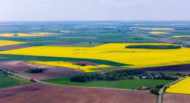 Litvanya 'nın Kdainiai İlçesindeki Sarı Tecavüz Tohumu Tarlalarının Üzerindeki Güneşli Gün