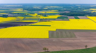 Litvanya 'nın Kdainiai İlçesindeki Sarı Tecavüz Tohumu Tarlalarının Üzerindeki Güneşli Gün