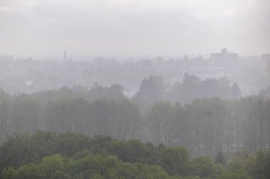 Kaunas 'taki Kalnieciu Parkı' nda Şiddetli Sağanak Sağanak, Şehri Puslarla Kaplıyor